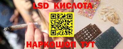 кокс Донской