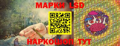 a pvp Донецк