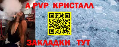прущие грибы Гусиноозёрск