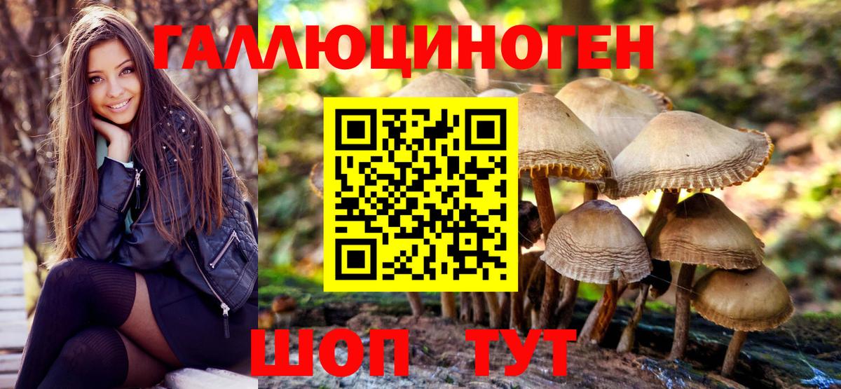 Галлюциногенные грибы MAGIC MUSHROOMS  Вход с VPN  Псилоцибиновые грибы Cubensis  Тимашёвск 