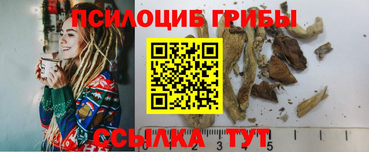 Галлюциногенные грибы ЛСД Тимашёвск